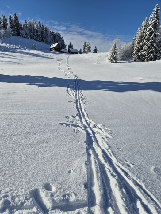 Casă de vînzare  la muntte