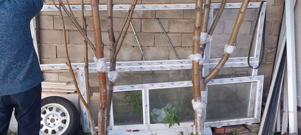 Пластиковое окно