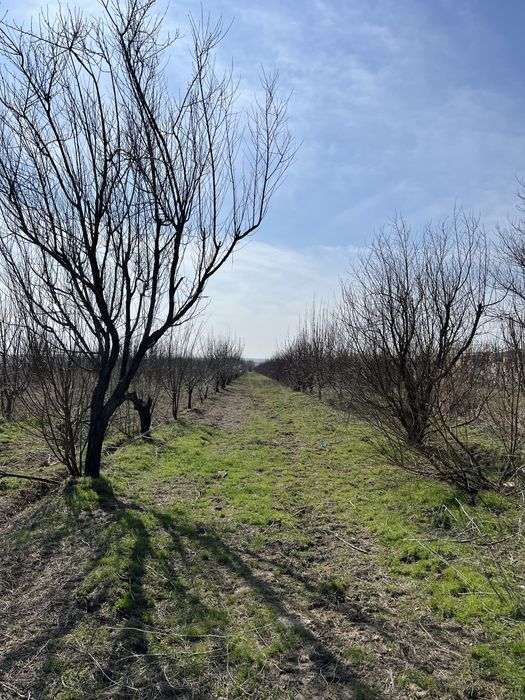 Продается участок под бизнес 2 гектара