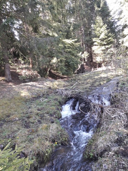 Vand teren Vatra Dornei