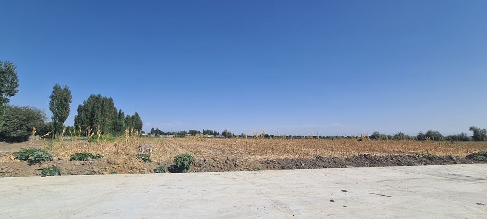 Kim Pen Xvada 3 gektar yer Arendaga beriladi