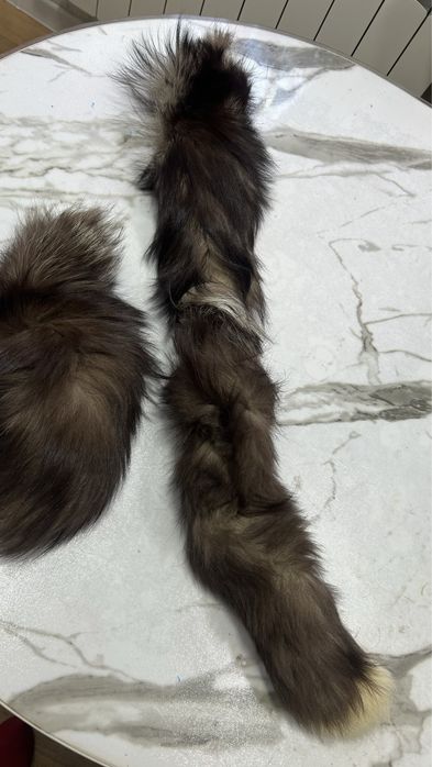 Песцовые хвостики за 50000 с.