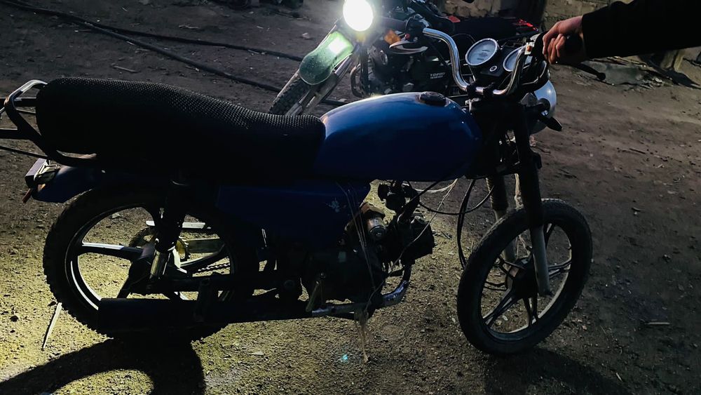 Продам алфа рейсар