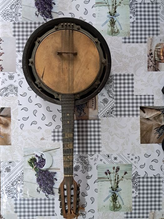 Banjo mandolina 8 corzi