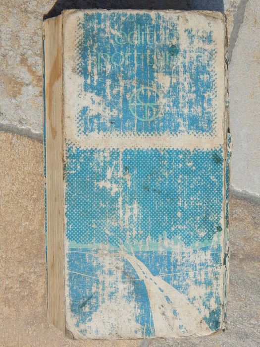 Romania ghid turistic an 1983 475 pag Sebastian Bonifaciu Sport Turism