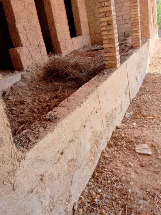 Шахрисабз каракушда учаска сотилади 16 сутиг учаска срочна