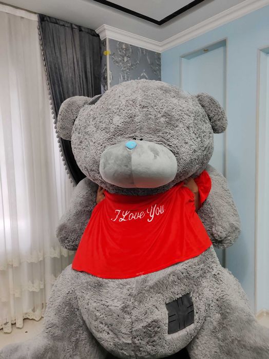 Teddy ayiqchasini eng kattasi