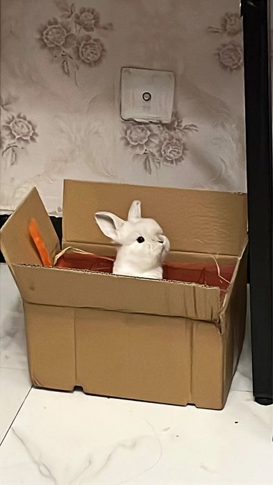 Mas’uliyatni o‘rgatadigan eng yumshoq yo‘l