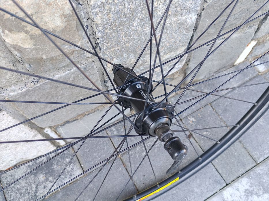 Roti Cursiera Mavic