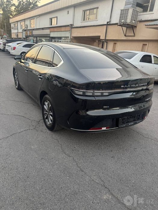 BYD Chazor 2024 g