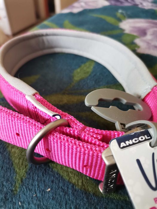 Нагръдник и каишка нови