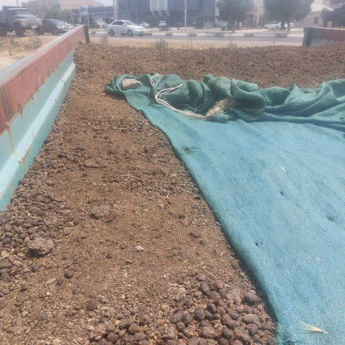 Мол ва куй гунглари (НАВОС)