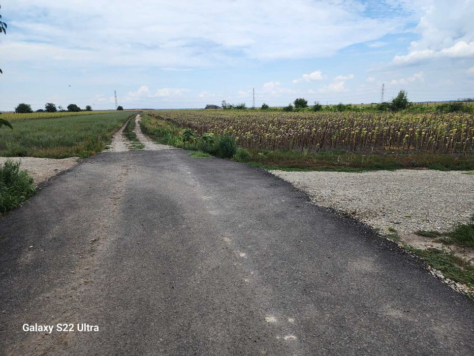 Teren 6.000 mp. Petresti. drum pe lungime si la capete 17.5 / 350m.