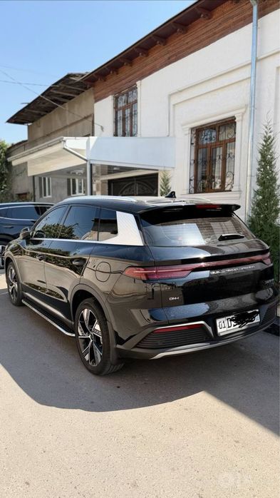 Byd song pro 2024
