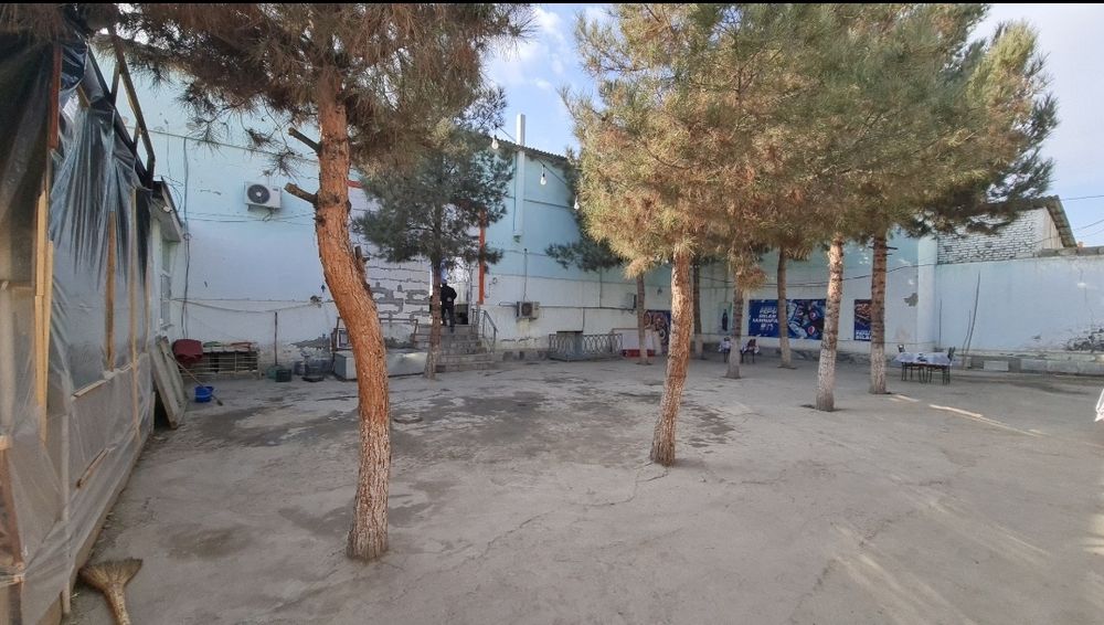 1-Liniya 5,5 sotix Noturar daromadli mulk