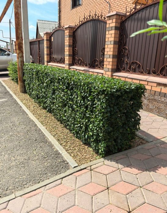 Облагораживание территории