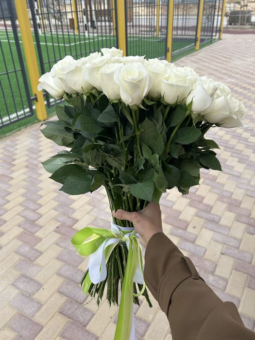 51 шт роза без оформление