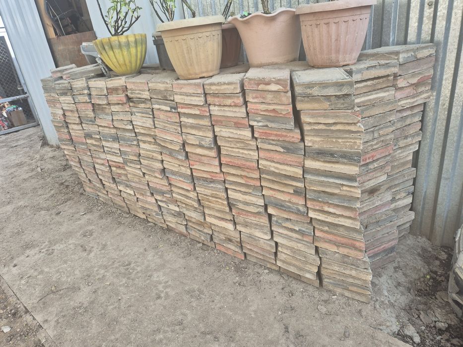 Брюсчатка  б у отдам бесплатно