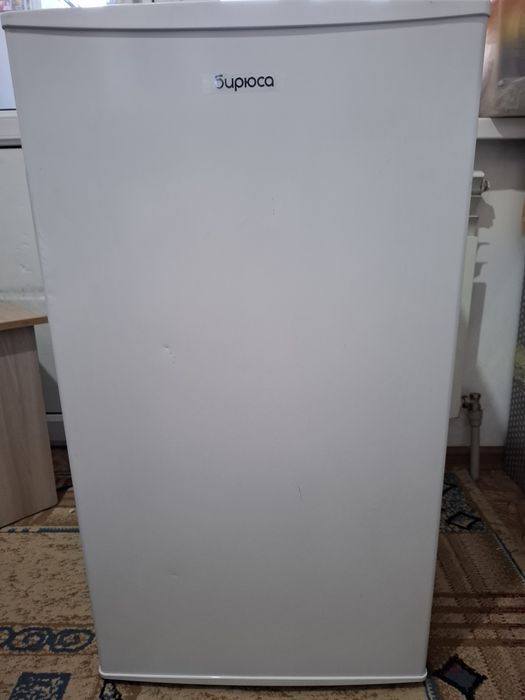 Холодильник "Бирюса"