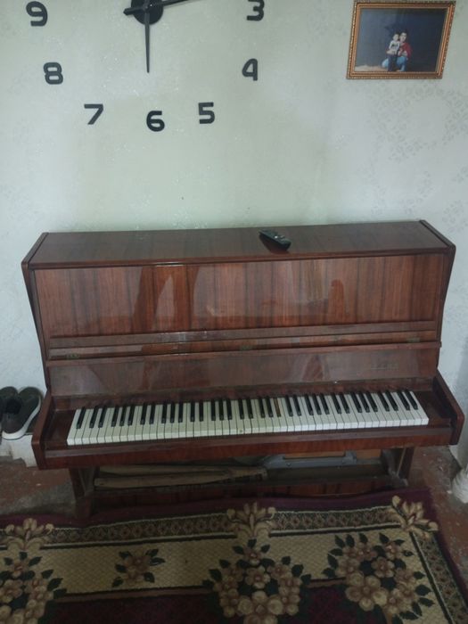 Piyanino.  Eng zori.