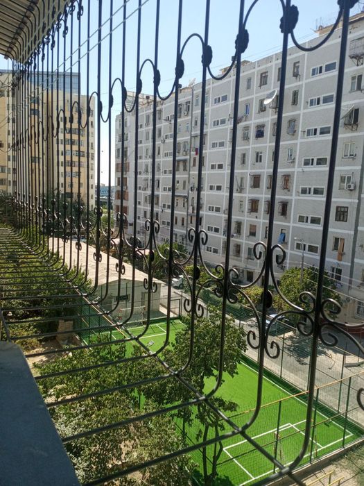 Продаётся. Ганга, Ц-15, Жангох 4/5/5 уй