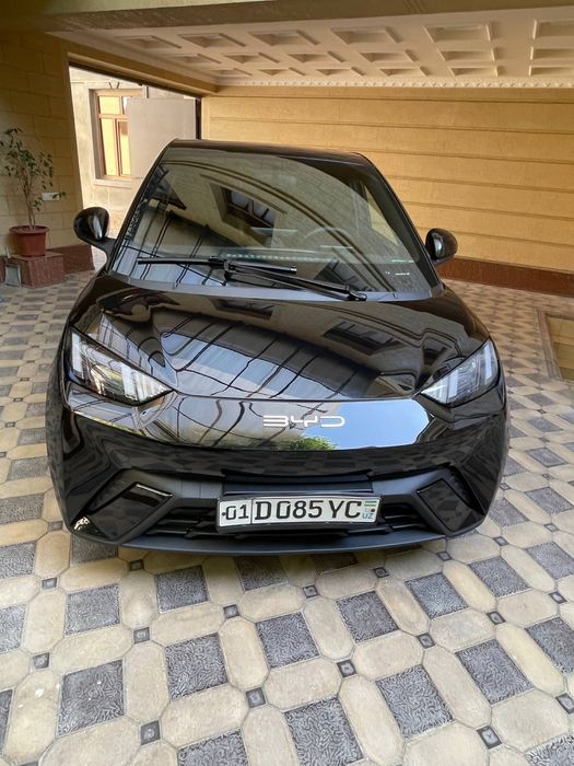 Byd seagull 305km