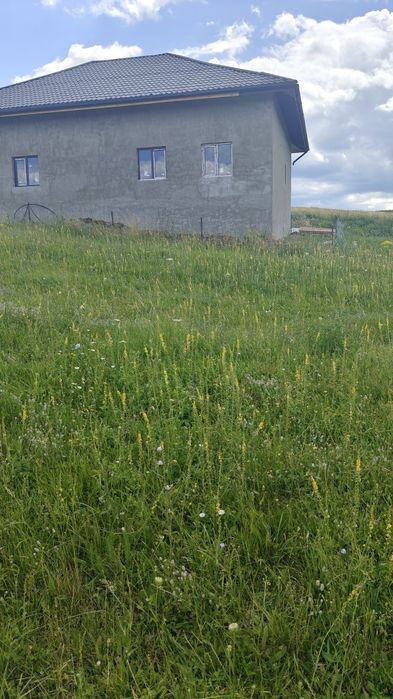 Teren Bod de vânzare