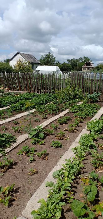 Продам дачу в Д/о Золотая осень