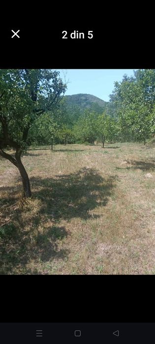 Vind teren extravilan