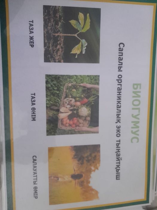 Продам биогумус.