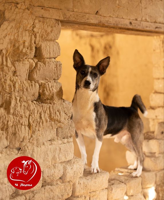 Мама и папа где ты