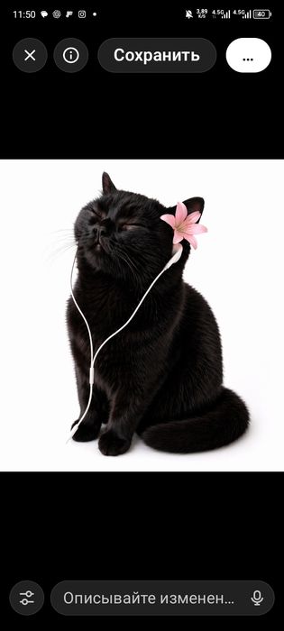 Заберите пжл котенка