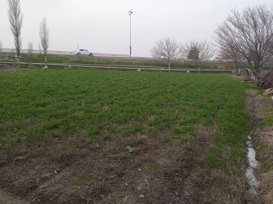 Участка йер сотилади Тошкент вилояти Нурафшон шахрида