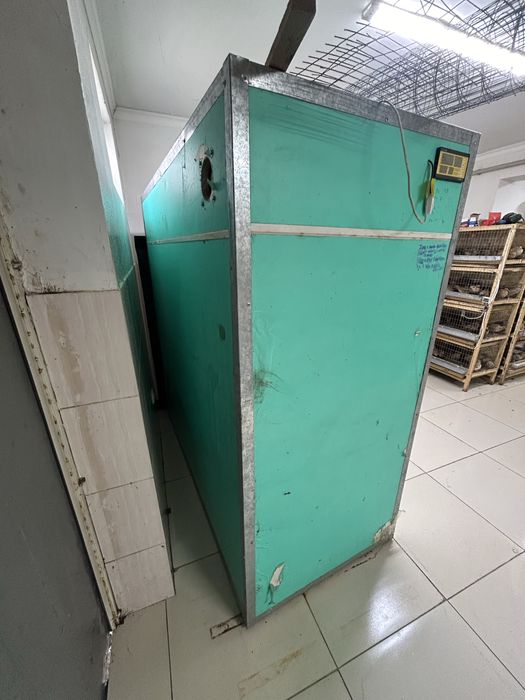 Инкубатор для яиц