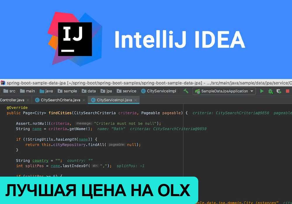 Подписка JetBrains IntelliJ IDEA