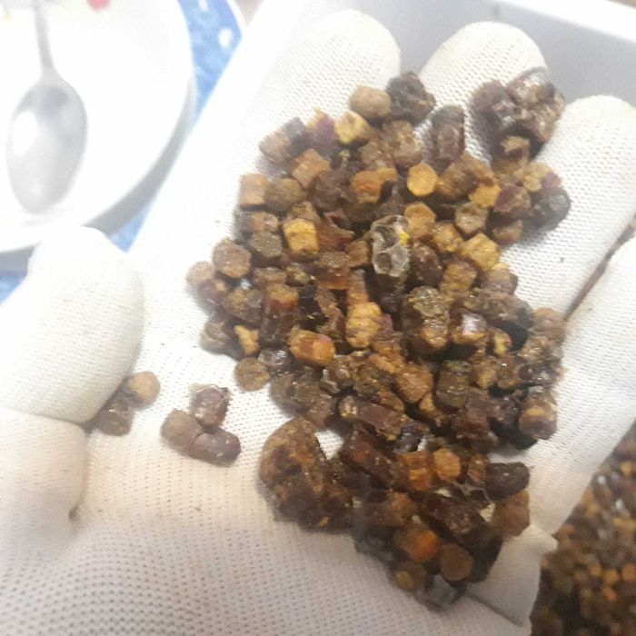 Polen, propolis , pastura, faguri cu miere ,   en-gros sau en-detail d