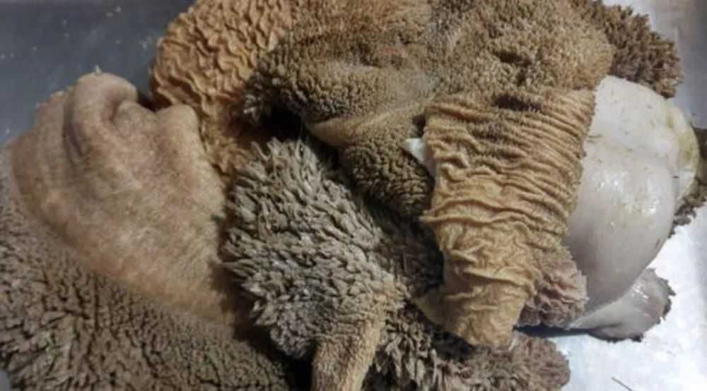 Требуха говяжья, трахея, вымя для собак