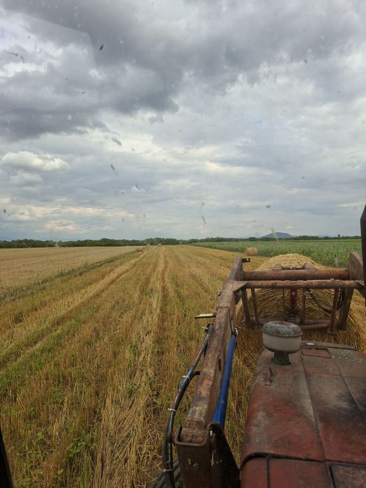Baloti de paie rotunzi