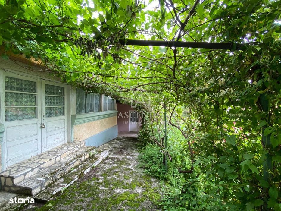 Domeniu 15.900 mp în Fințești | Casă + Investiție Dealu Mare