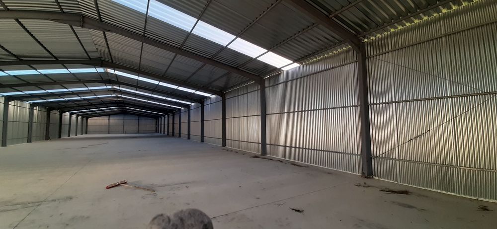 Vand hale metalice 18x40x4 ipe 270