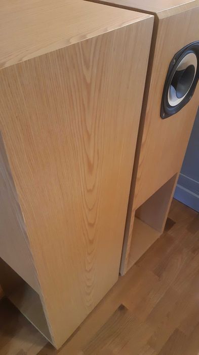 Хорни с FOSTEX FE206En