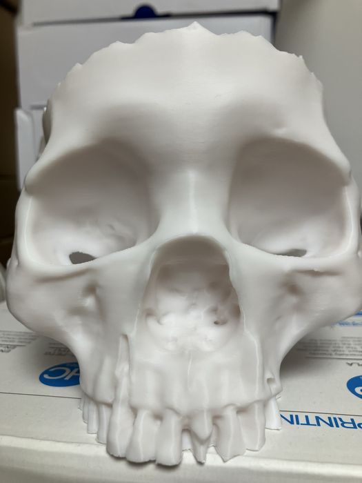 Suport pixuri bomboane craniu halloween