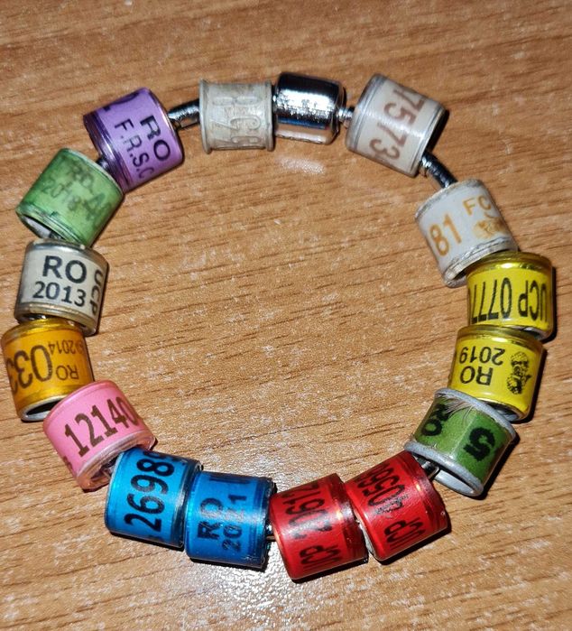 Inele vechi de porumbei RSR si FCI, UCP, FRSC