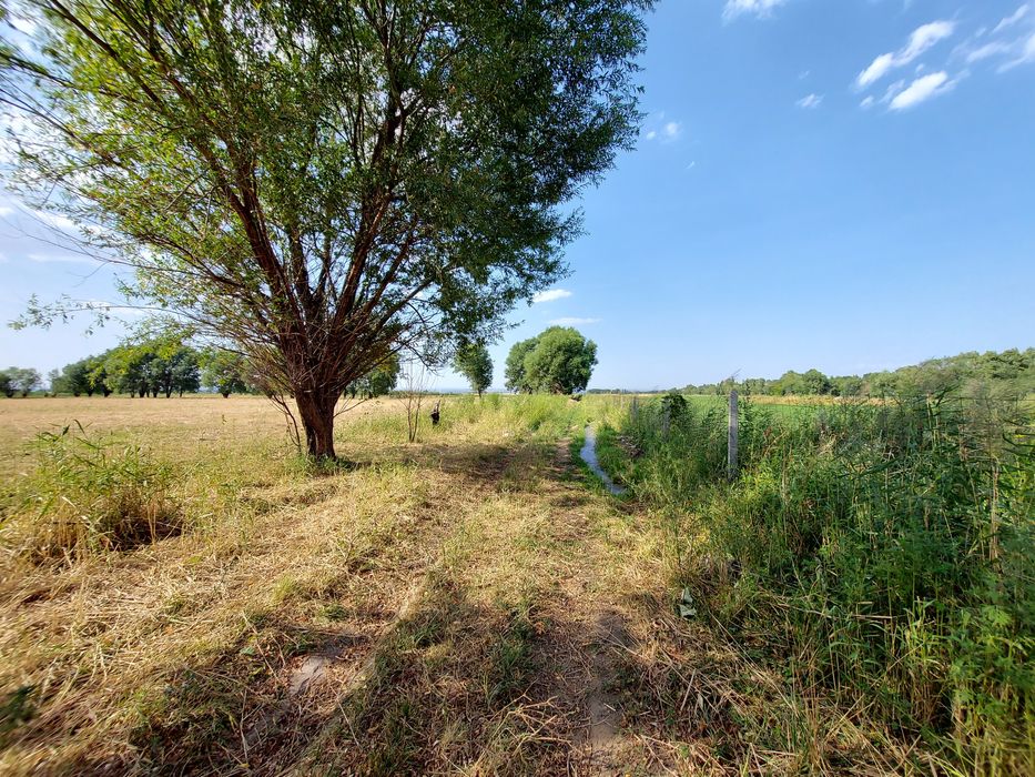 Сдается в аренду 2.2 га участок