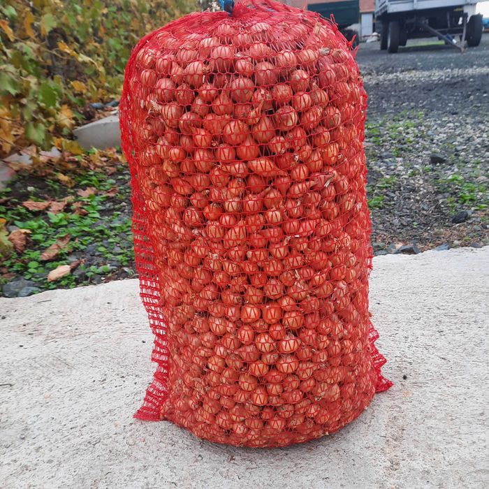 Арпаджик и Балучка