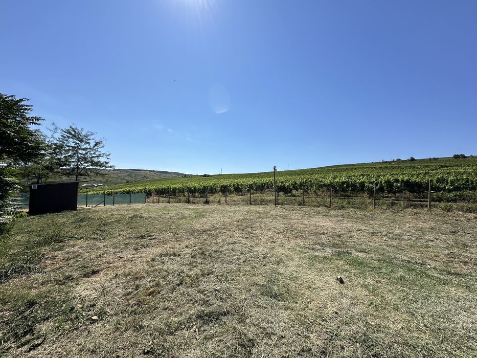 Vând teren intravilan în Huși (suprafață intreagă sau 2 loturi)