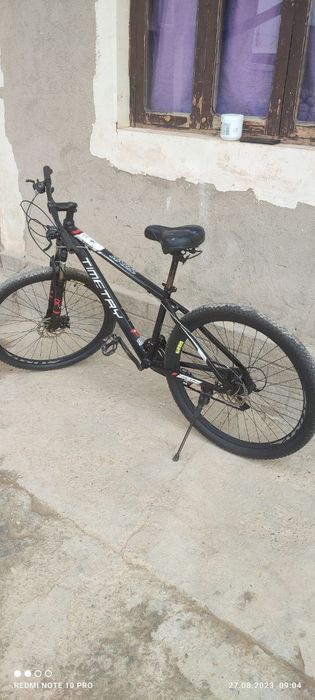 Velosipid temetri germanya arginali