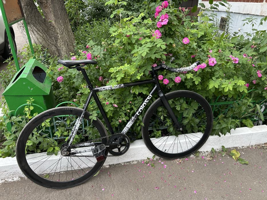 fixed gear фикс colossi base