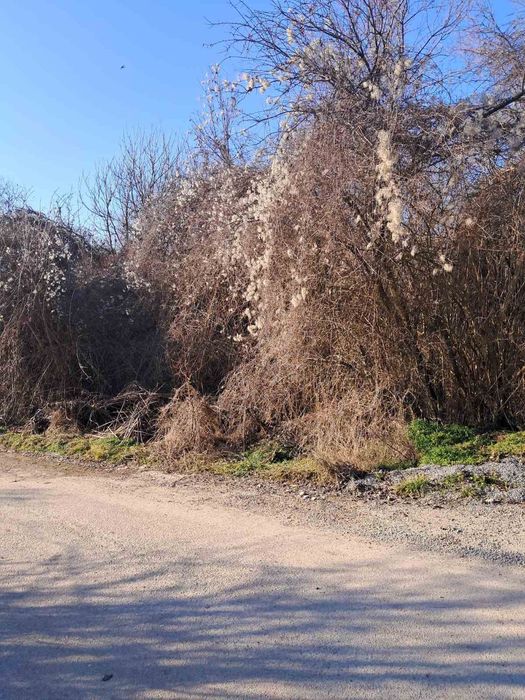 Парцел в регулация в село Лобош