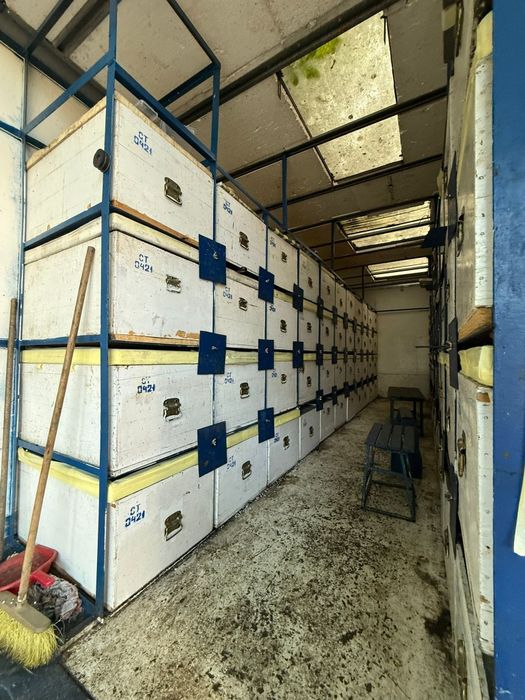 Vand Camion apicol Mercedes Atego